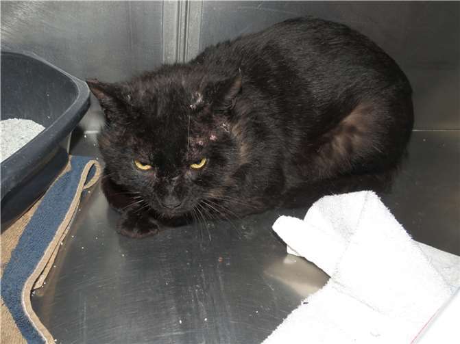 Kalani muss noch etwas aufgepäppelt werden und wieder Vertrauen in die Menschen finden.