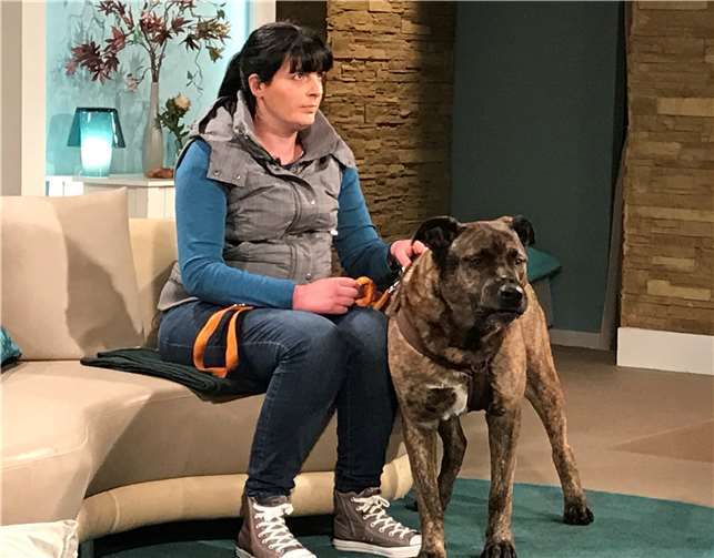 Kalle war total gelassen bei seinem großen Fernsehauftritt.