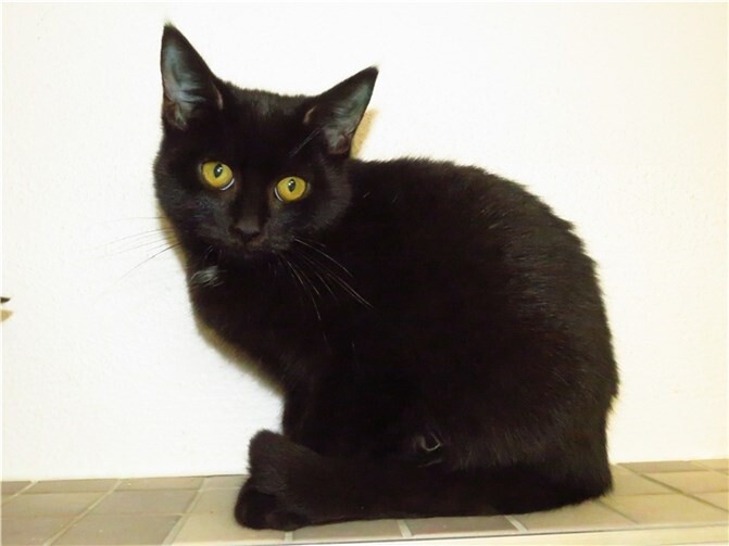 Kamil.  Fotos: privat