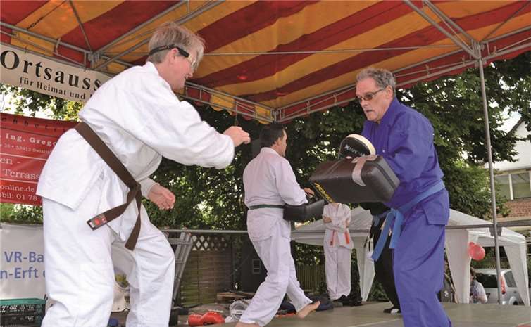 Kampftechnik zur Selbstverteidigung zeigten Mitglieder des Heimerzheimer Jiu-Jutsu-Clubs.