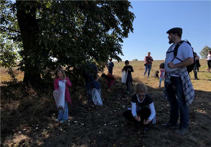 Kastaniensammeln bei der Herbstwanderung war angesagt, ...Privat