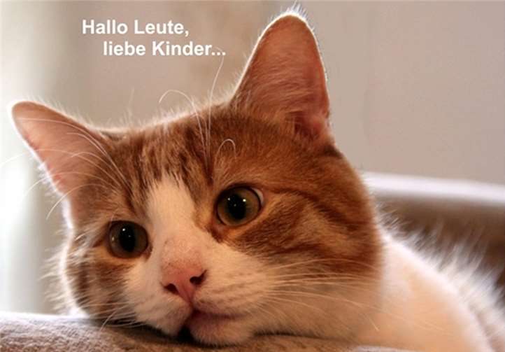 Kater Bobby informiert... art-photographie-capl.de