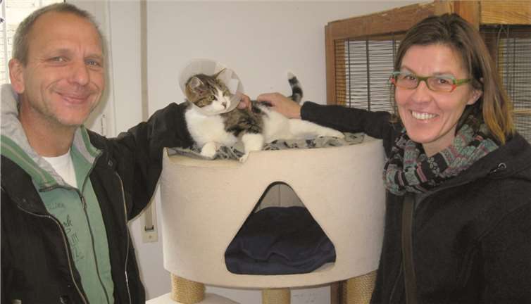 Kater Findus ist heute ein Sonnenstrahl an einem trüben und nebligen Herbsttag. privat