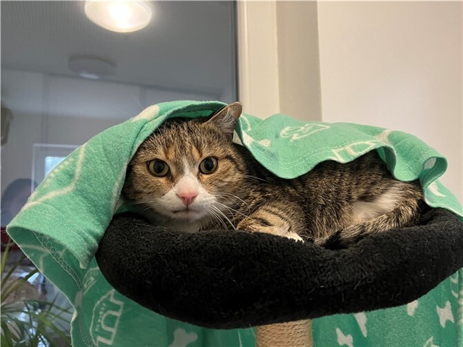 Katja. Fotos: privat