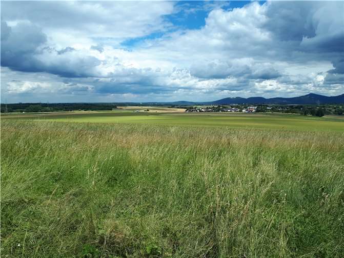 Kein Siedlungsgebiet – Am Stumpeberg sollen Aussicht und Natur erhalten bleiben.  Foto: SPD-Wachtberg