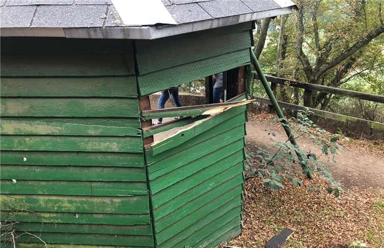 Kein unwesentlicher Schaden und Schmierereien waren an der Schutzhütte „Blumslay“ festzustellen.Foto: privat