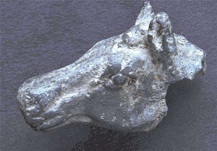 Keine Kuh, sondern der Kopf einer Pferdestatuette ist einer der spektakulärsten Funde der römischen Burganlage.W. Mertens