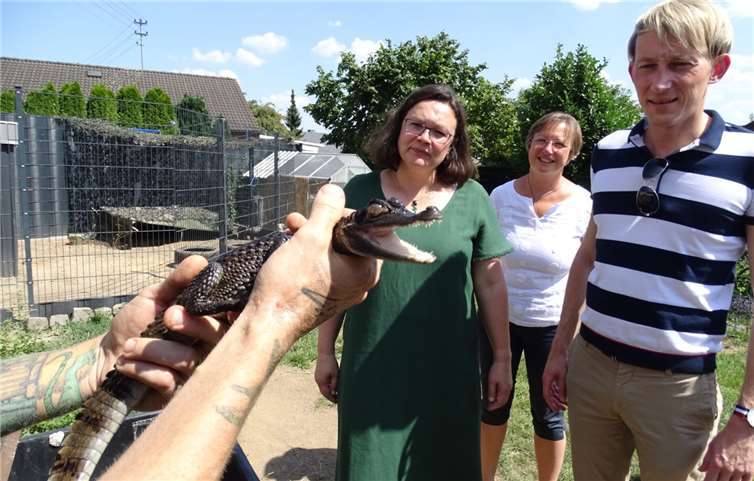 Keine Scheu vor Reptilien zeigte die SPD-Bundestagsabgeordnete Andrea Nahles.  Privat