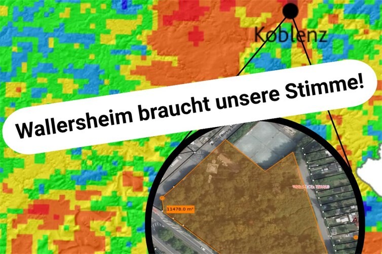 Keine Überbauung von 1,1 Hektar Gehölzfläche in Koblenz-Wallersheim – Verbände fordern ökologisch verträgliche Alternativen
