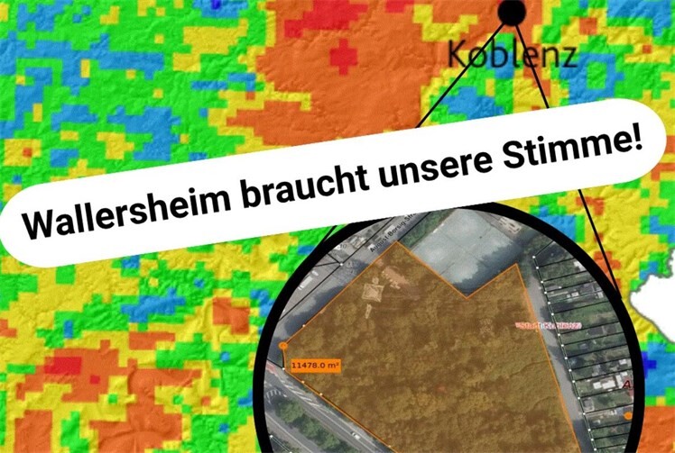 Keine Überbauung von 1,1 Hektar Gehölzfläche in Koblenz-Wallersheim – Verbände fordern ökologisch verträgliche Alternativen