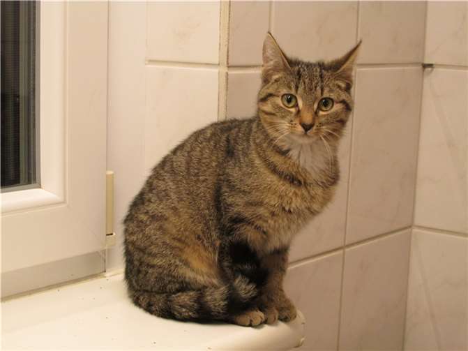 Keira. Fotos: privat