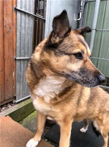 Kelly. Fotos: privat