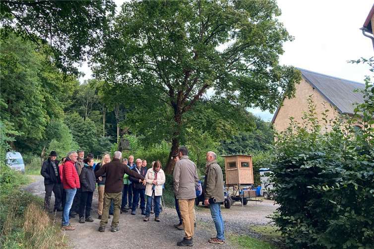 „Schöner kann man wohl kaum in einen Sonntag starten“ Kenntnisreich und humorvoll fügte Förster Albert Jung an ausgewählten Stationen Informationen und Anekdoten zusammen. Foto: Dorfakademie Hambuch e.V.