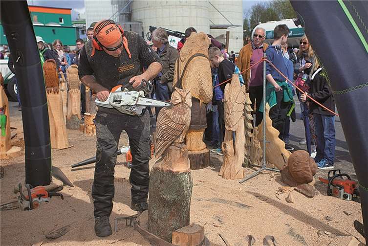 Kettensägenkünstler in Aktion: Bei den Westerwälder Holztagen gab es eine Menge Holzkunstwerke zu bestaunen, wie hier in Form einer Eule.