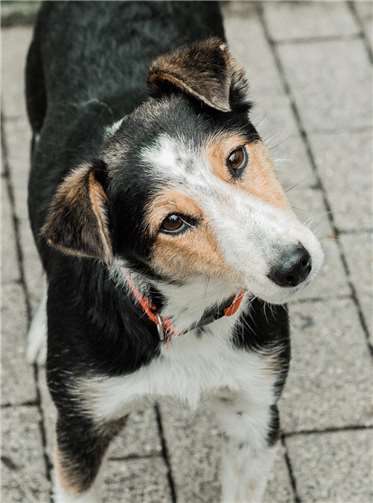 Kika. Foto: Nathalie Neuhaus