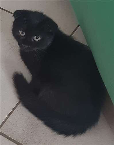 Kimberley.  Foto: privat