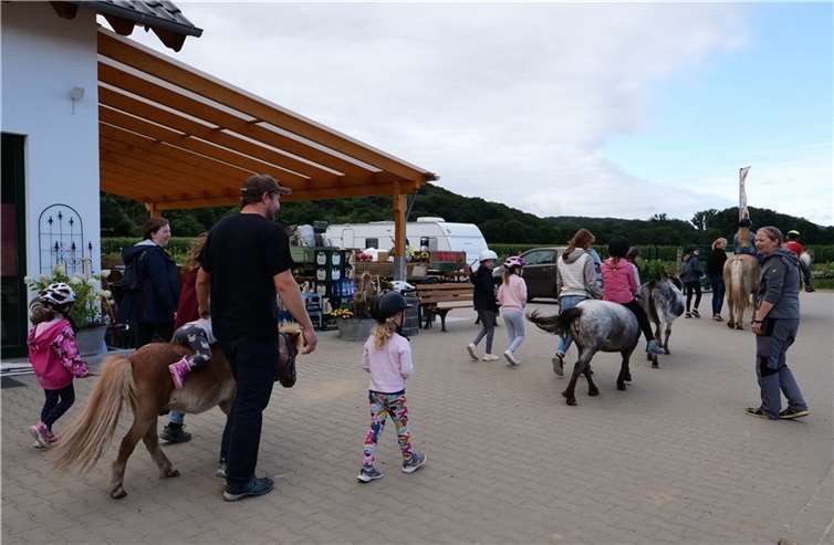 „Es sind Bilder, die sich einbrennen“ Kinder auf Ponys des Vereins Schwanenteich beim Ausritt. Foto: Detlev Kaldinski