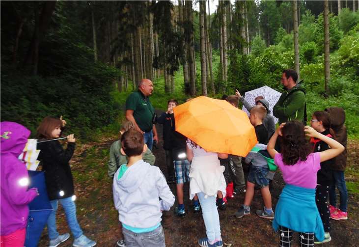 Kinder der Ernst-Born-Schule auf dem Weg zur Nistkasten-Inspektion. Foto: Bürgerstiftung Bad Ems