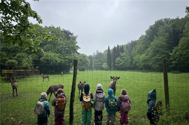 Kinder durften Rotwild leckere Möhren zum Frühstück bringen