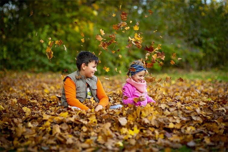 Kinder spielen mit Blättern