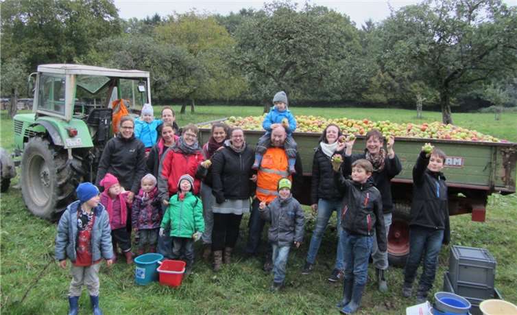 Kinder und Eltern des Kindergartens Vettelschoß sammelten Äpfel für den ersten Apfelwein der Rheinhöhengemeinde. privat