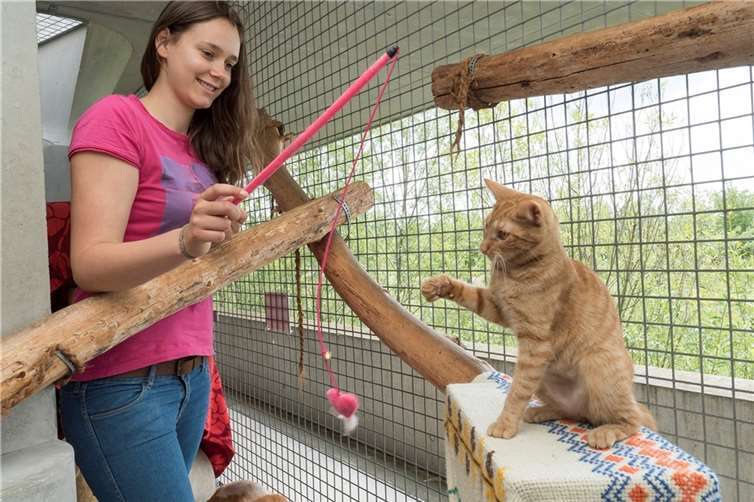 Kinder und Jugendliche, die sich allein oder in der Gruppe für Tierschutzprojekte engagieren, können sich für den Jugendtierschutzpreis bewerben. Copyright: Deutscher Tierschutzbund e.V.