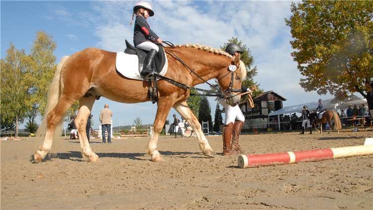 Kinder und Jugendliche mit kleinen und großen Pferden hatten beim ersten Reitertag des RV Dierdorf die Möglichkeit, ihren Ausbildungsstand beurteilen zu lassen.Fotos: Holger Kern