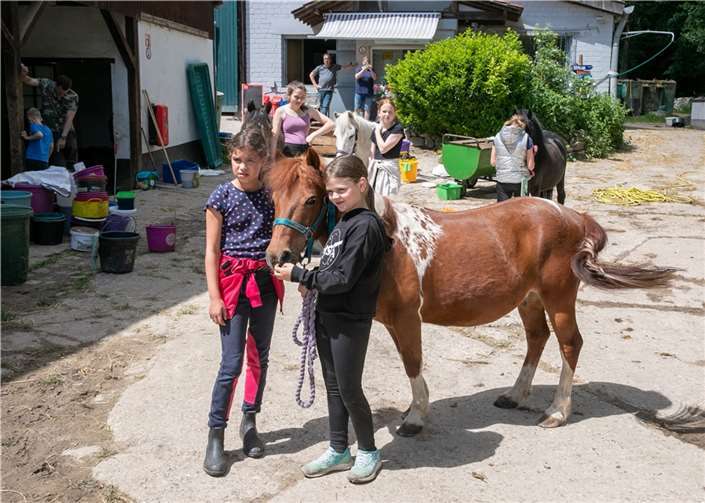 Aus der Pecher Tierscheune wird „Mein Ponyhof am Kottenforst“ Kinder und Ponys in Harmonie sind typisch für die „Pecher Tierscheune“.