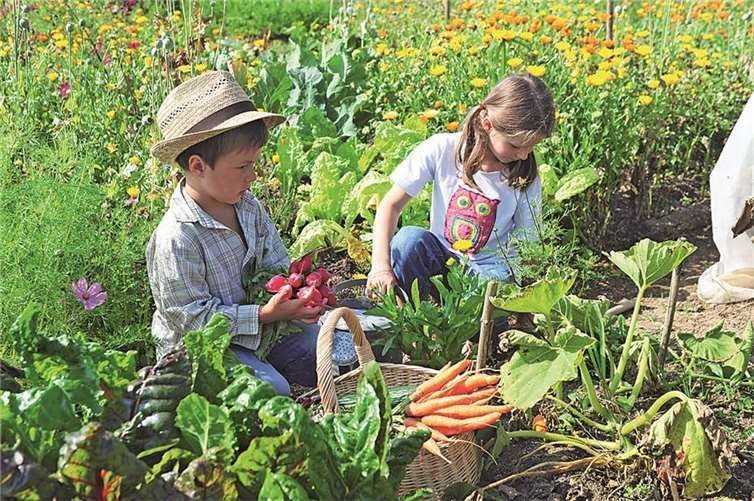Kinder werden in der Aktionswoche zu kleinen Gärtnern.privat
