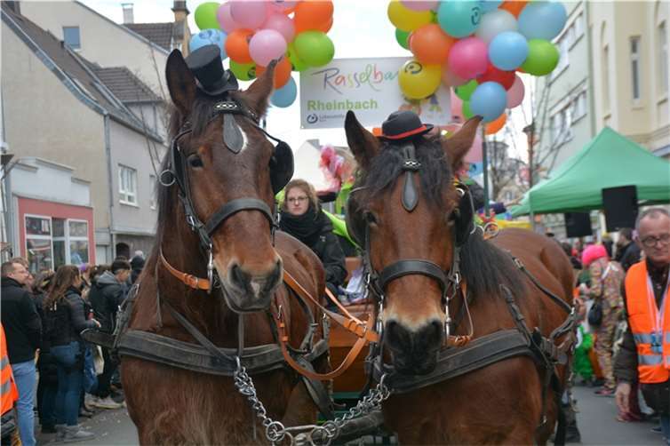 Kindergarten Rasselbande mit Pferdekutsche.  Motto. Hier ist jeder so wie er ist...