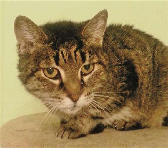 Kitty freut sich auf eine eigene Familie. privat