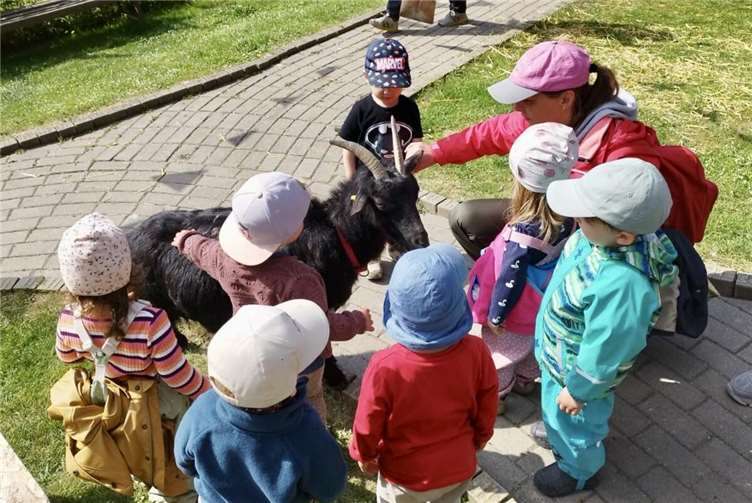 Kleine Entdecker auf großer Tour. Foto: Julia Ackermann