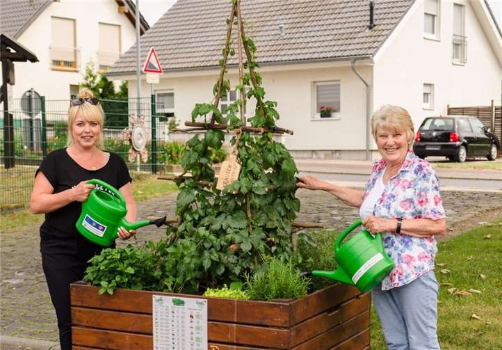 Kleine Kannen erleichtern das Gießen.Foto: Privat
