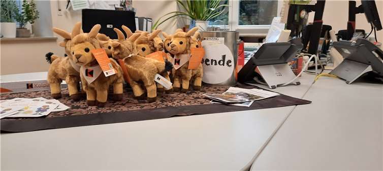 Kleine Ziegen aus Plüsch sind für die Spender bei der Ziegenaktion des Internationalen Kolpingwerkes bestimmt.  Foto: Kolping St. Martin/privat