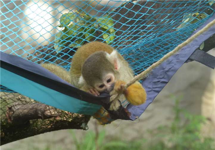 Kleinigkeiten können den Alltag der Tiere schon angenehmer gestalten.