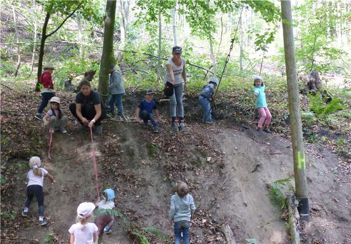 Kletterpartie im Wald.