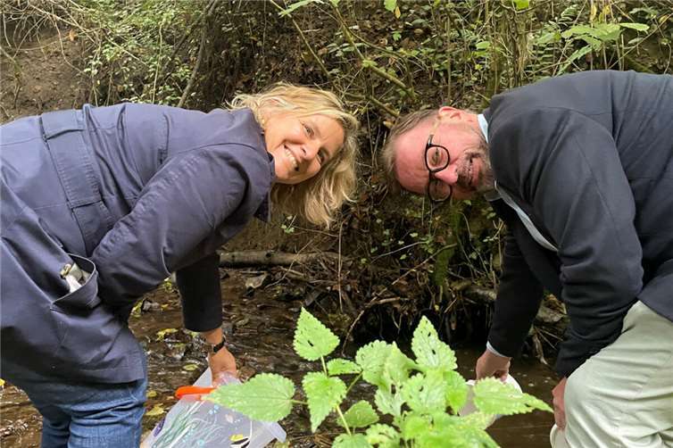 Klimaschutzministerin Katrin Eder setzt gemeinsam mit SGD-Nord-Präsident Wolfgang Treis junge Steinkrebse in einem Bach bei Koblenz aus.Foto: MKUEM 