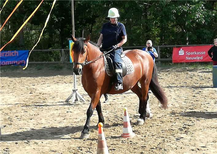 Knapp 50 Reiter bestritten den Geschicklichkeitsparcours.