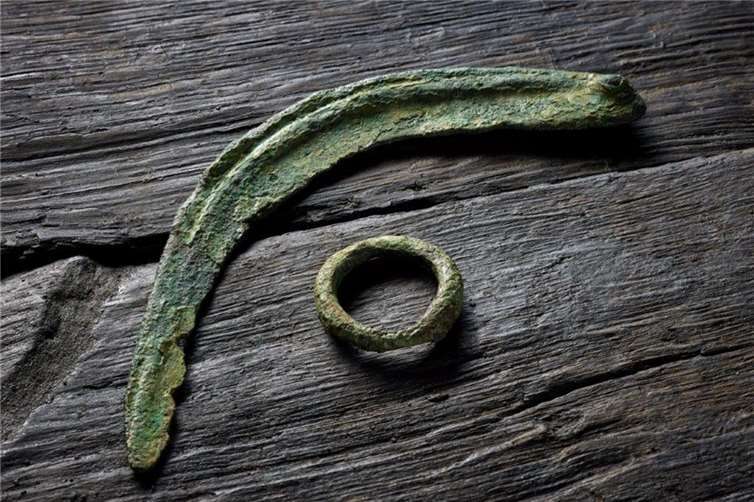 Knopfsichel und Ring aus Bronze, späte Bronzezeit, um 1000 v.Chr.. Fundort: Odenthal-Erberich; LVR-Landesmuseum Bonn. Foto: J. Vogel