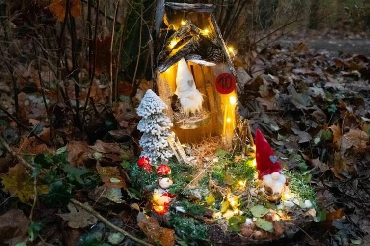 Koblenzer Wichtelwald. Foto:SCH