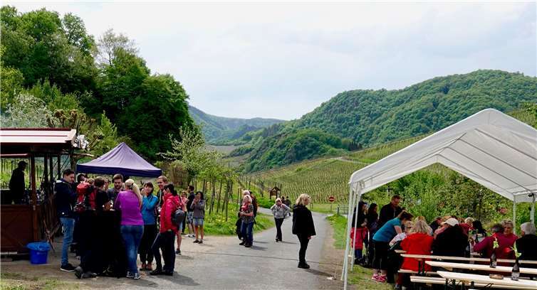 Köstlichkeiten aus heimischer Küche und regionalenWeinkellern gab es an den Raststationen auf der Wanderstrecke.