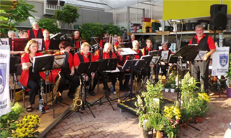 Konzert unter Palmen. Gemeinde Wachtberg/mf