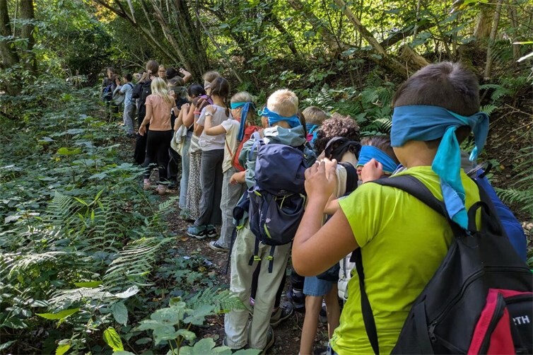 Kooperation und Vertrauen: Mit verbundenen Augen werden Schüler von Mitschülern durch den Wald geführt.