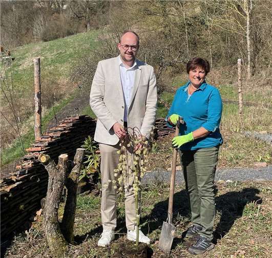 Kordula Honnef, die Gärtnerin der Klostergärten und Kräuterfrau, und der Bürgermeisterkandidat der Verbandsgemeinde Waldbreitbach Pierre Fischer pflanzen die Kätzchenweide in den Klostergarten.Foto: Anja Loudovici
