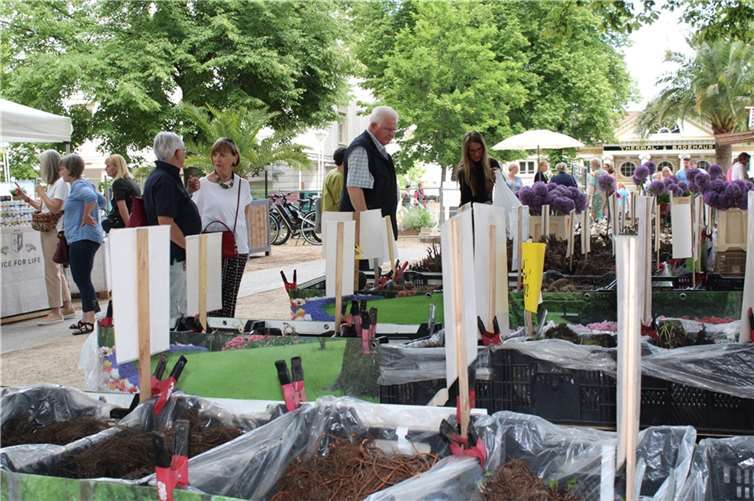 Kräuter und Gewürze von klassisch bis exotisch waren gefragt.