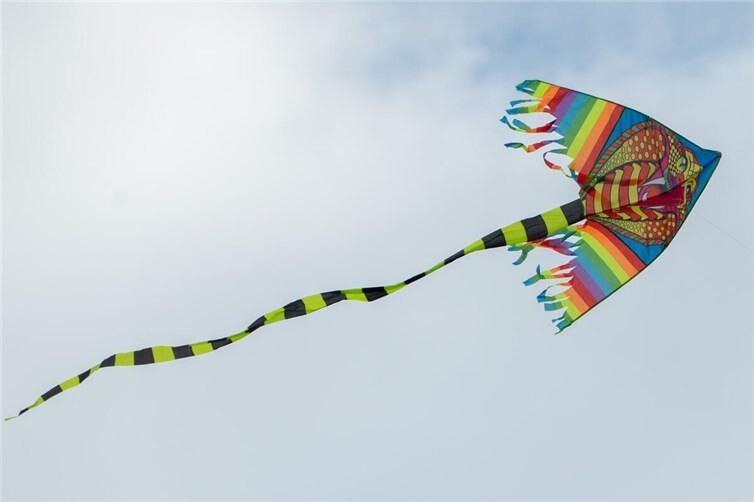 Himmelsstürmer am Ehrenbreitstein  Kreative Höhenflüge: Drachen erobern den Himmel.