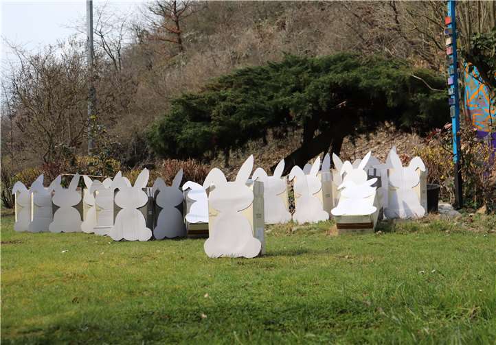 Kreative Osterkartons für die Kinder, die an der Freizeit teilnehmen wollten. Foto: privat