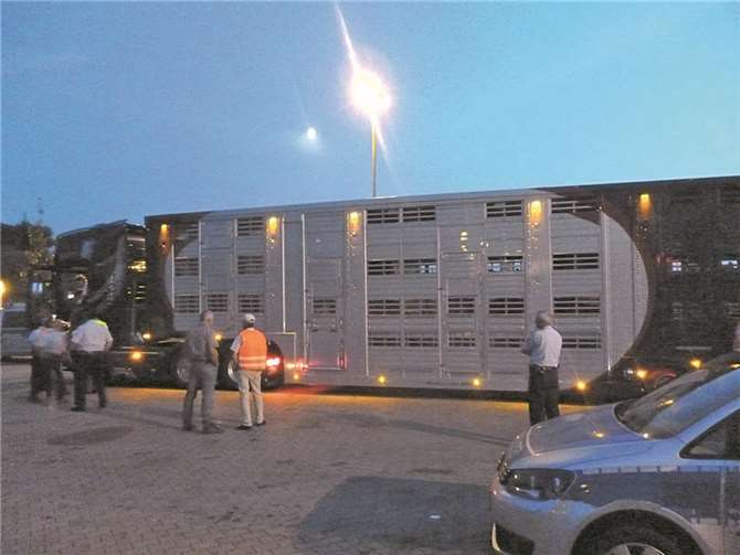 Kreismitarbeiter und Polizei überprüften die Tier- und Lebensmitteltransporte an der Raststätte Brohltal-West. KV-AW