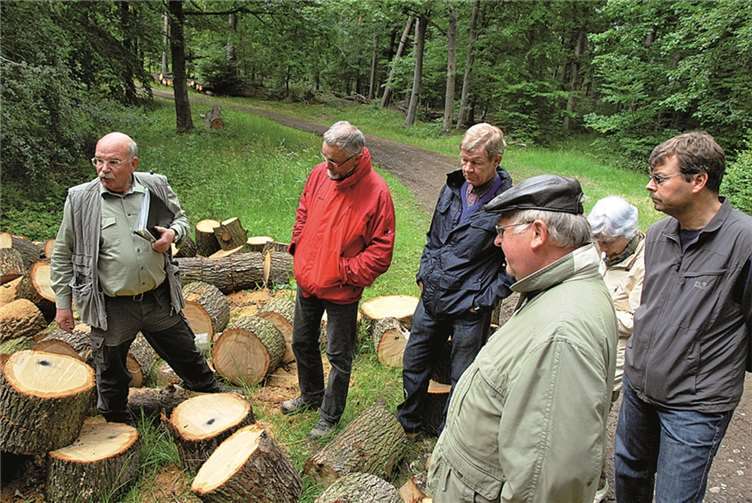 Kriegsschäden im Wald: Der Vehner Revierförster Helmut Willerscheid erklärt die dunklen Flecken, die auf eingeschlossene Granatspitter hinweisen. privat