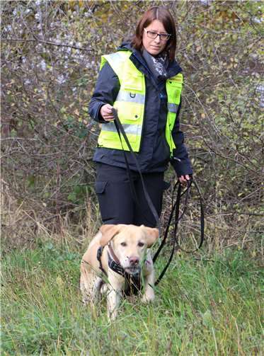 Kristina Hammes’ Labrador Lui weiß, warum er seinen Job macht – später gibt es eine Belohnung.